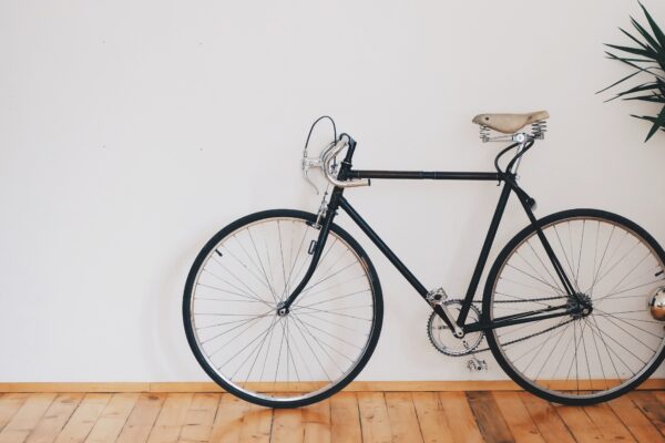 Speed Bike